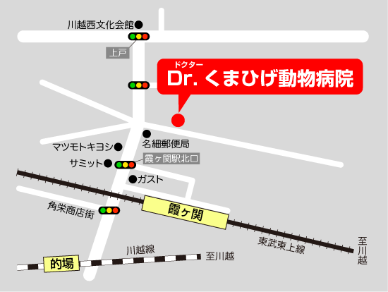 Dr.くまひげ動物病院　地図